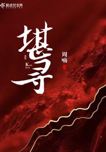 警察岁月