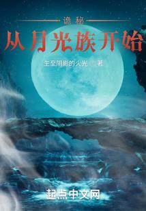 司机的二次元之旅