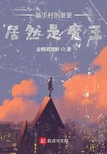 会穿越的佣兵