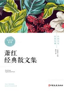 魔法世界召唤师