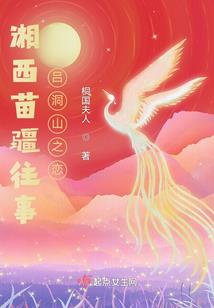 极品交易系统