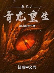 舞动皇城之宠夫无限