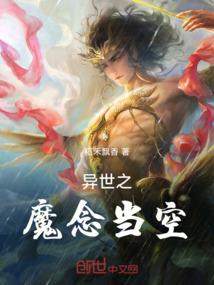 游荡者的笔录