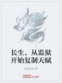 白夜玲珑