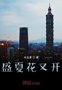 林小姐的穿越奇迹