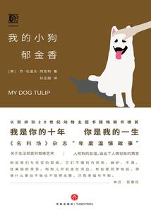 创世剑珠