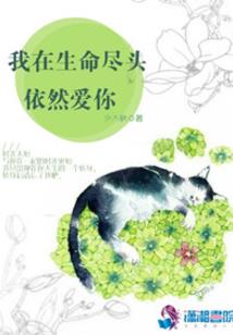穿越之枫华雪月