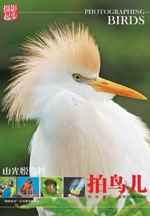 传奇天武师