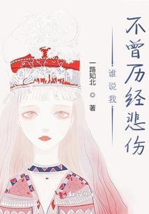 耀之铠甲勇士——飞纳茨