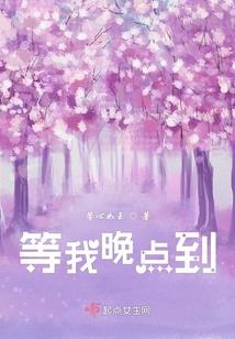 裙下躁动的单车
