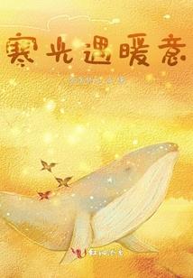海贼王之终结