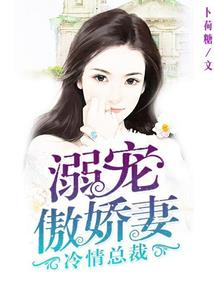 寻界天之守护