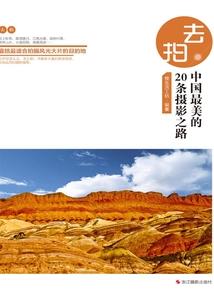 MT盗贼