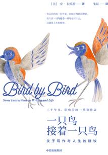 火影之梦追者
