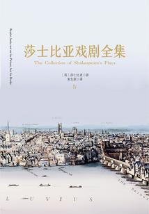 刺客辛非