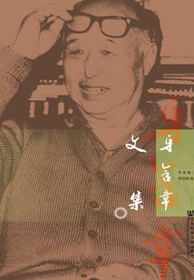 穿越之东乡公主曹绫传