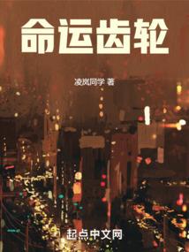 随心安的随心杂记