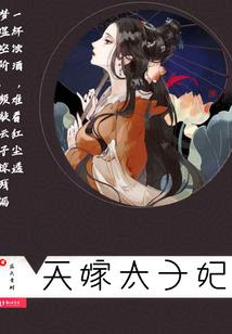 巅峰之天命师
