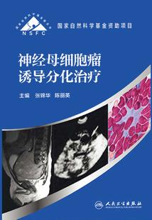 在英灵纵横的世界里开无双