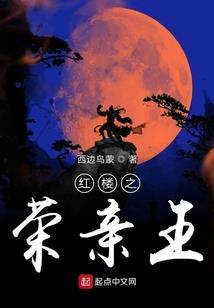 邻家小王妃