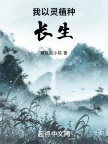 午茶后的晓息时刻
