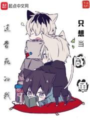 双面猫神