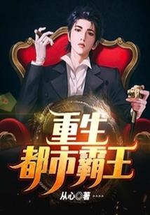 石头记