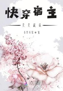 誓不结婚