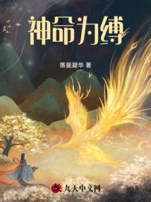 宫廷计之柒妃传