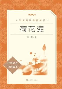 望眼生花已十年