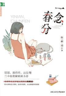 阵法师穿越日常