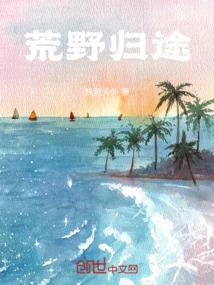 最后的追求