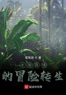 与美双排