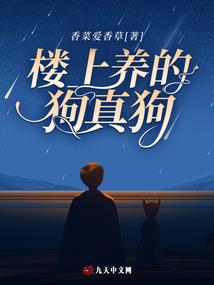 镜子银河系