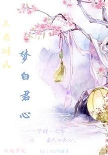 总裁的倔强小宝背