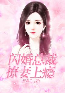 斗魂国境
