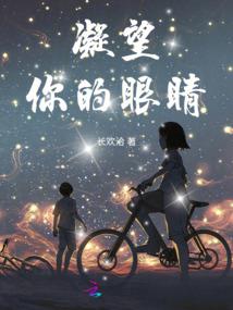 崩坏的阿基维利