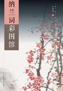 姐姐奇葩怪遇记