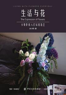 江湖女剑客