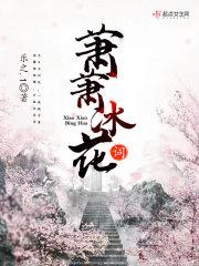 盗墓的人