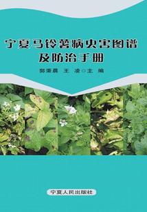 冷酷总裁嚣张妻