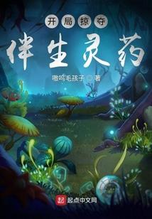 闯小说世界