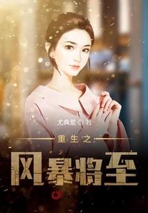 我的自制系统
