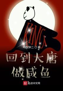 穿越之多情王爷俏王妃
