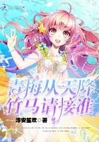 天降之物：天使少女方程式