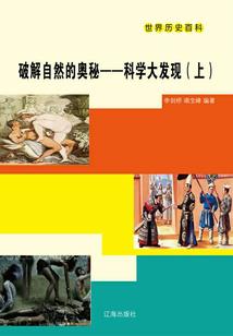 王者冰影
