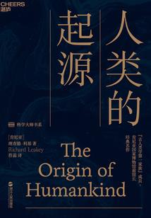 花开盛夏落无声