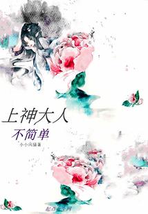 神奇宝贝之小翼传说