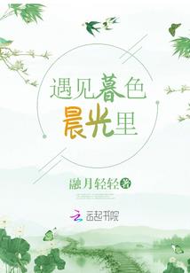 变身之圣灵之争