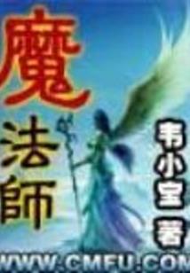 骑着龙的魔导师